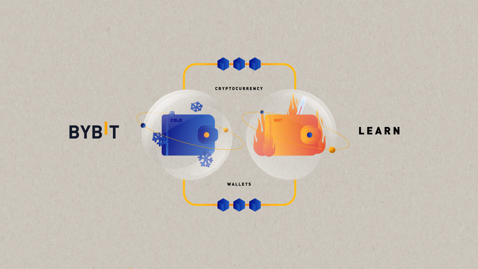 Carteiras de criptomoedas: Carteira quente vs Carteira fria - Phemex