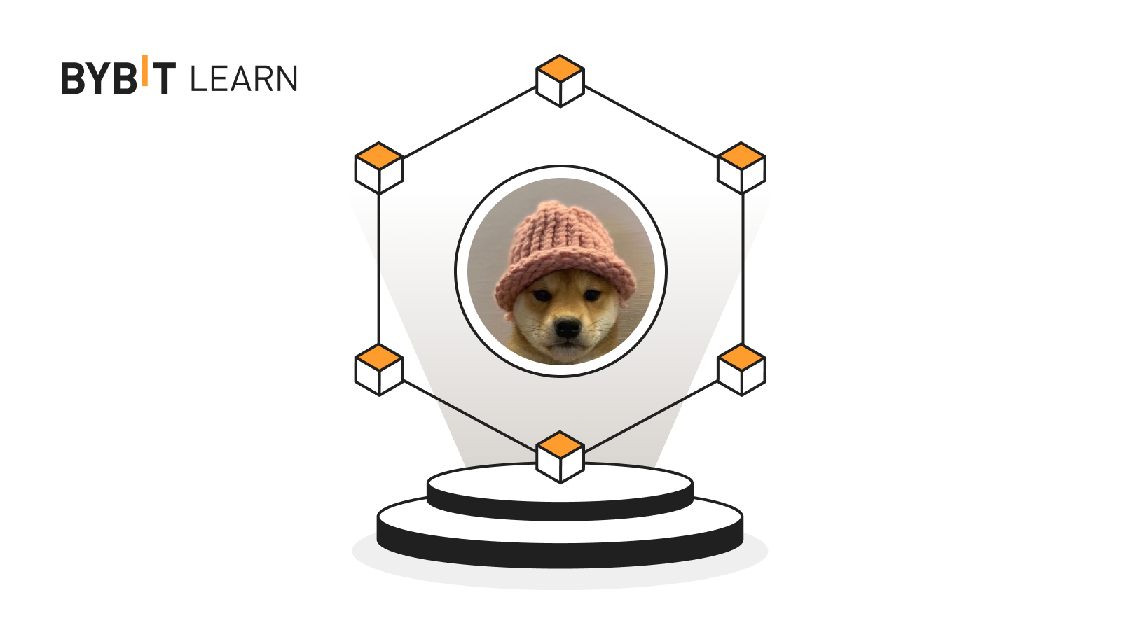 Dogwifhat (WIF) A Rising Meme Coin Featuring a Dog With a Hat Bybit