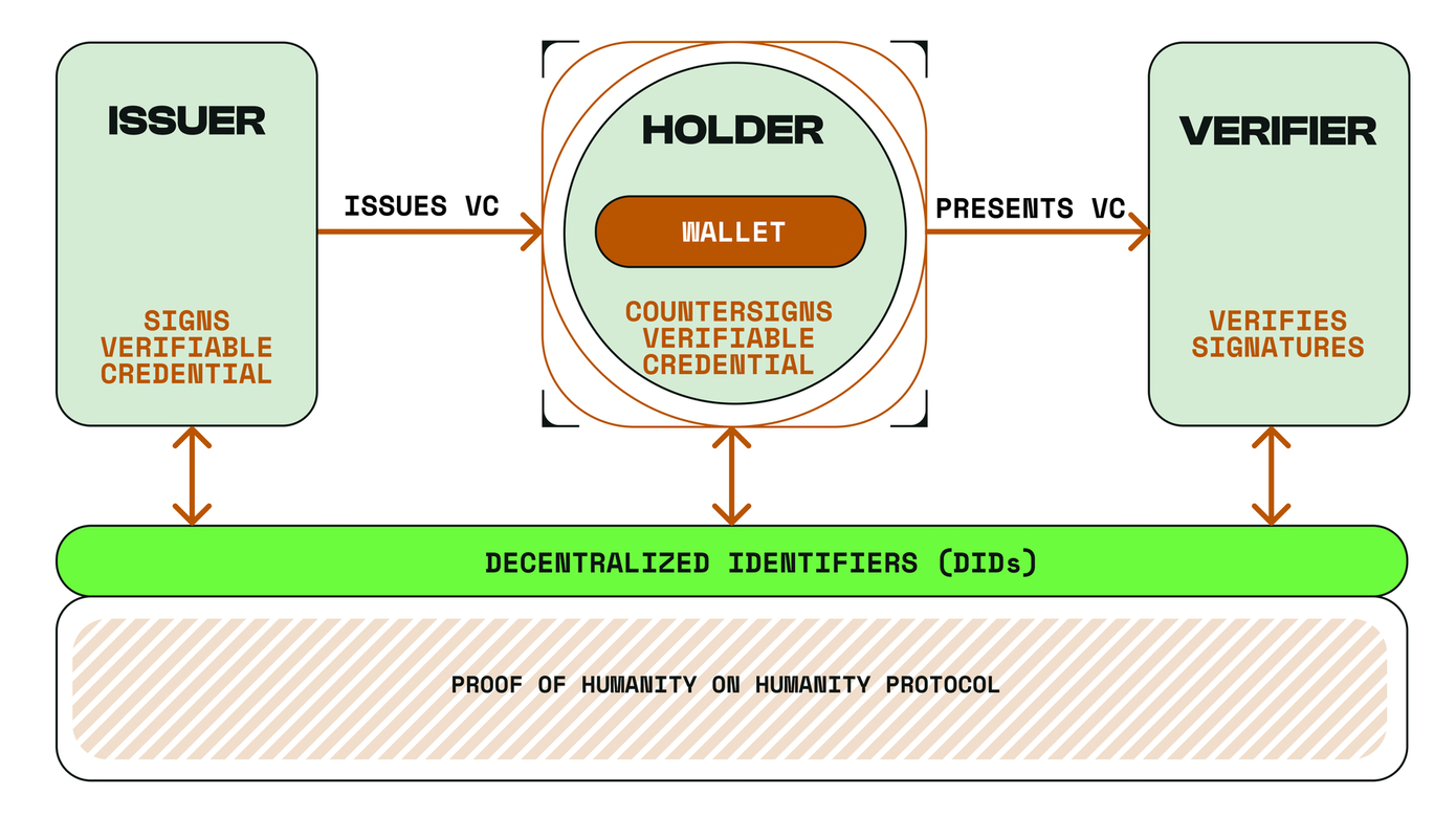The interaction between Issuer, holder and verifier on Humanity Protocol.