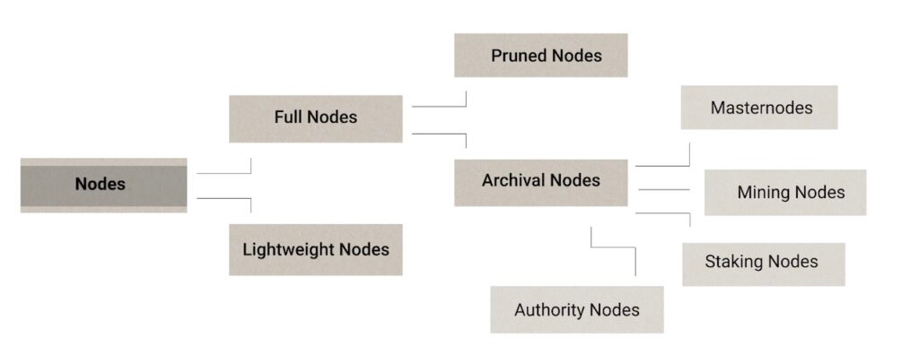 Types of Nodes on a Blockchain