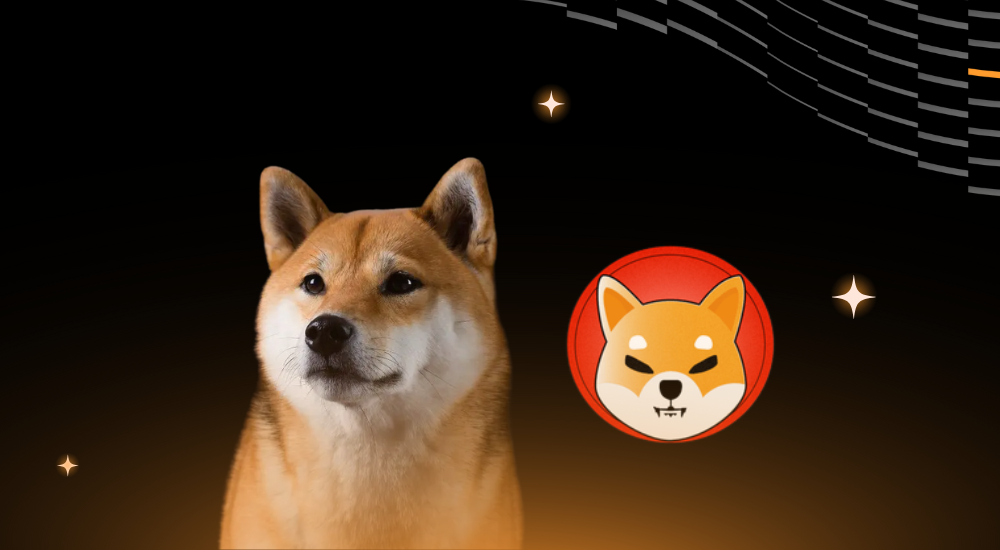 Lich-su-hinh-thanh-cua-Shiba-Inu-coin-la-gi.png