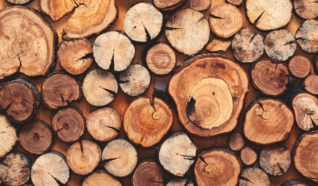 Wooden,Natural,Sawn,Logs,As,Background,,Top,View,,Flat,Lay Wooden,Natural,Sawn,Logs,As,Background,,Top,View,,Flat,Lay