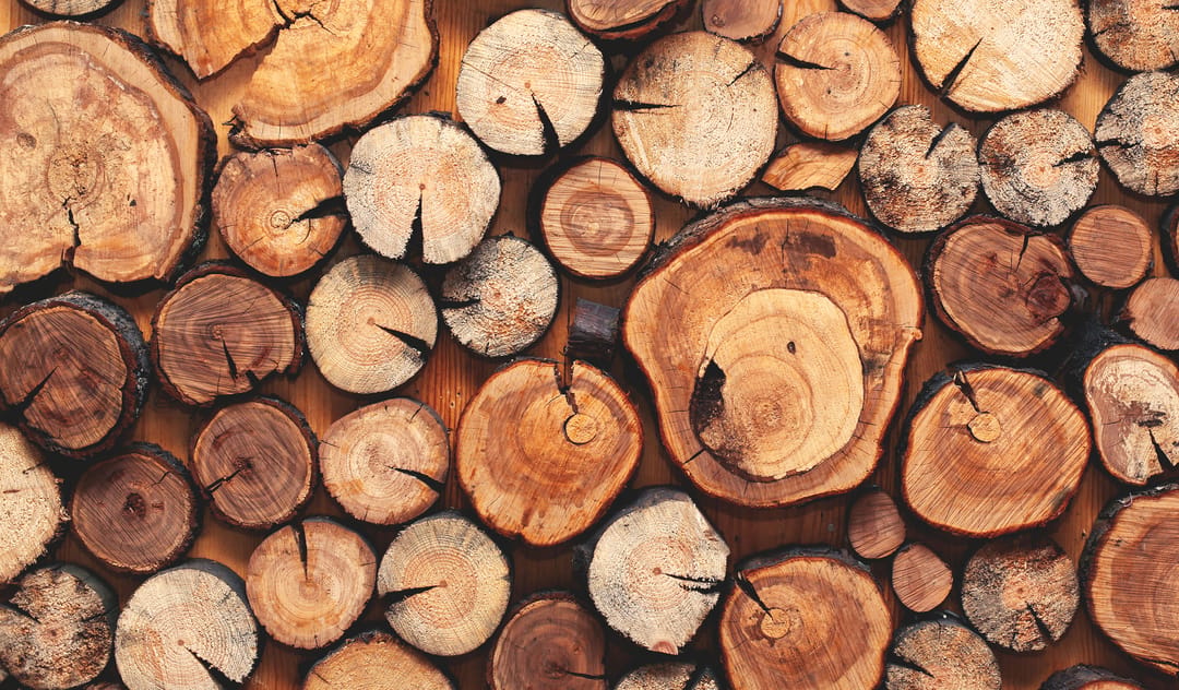 Wooden,Natural,Sawn,Logs,As,Background,,Top,View,,Flat,Lay