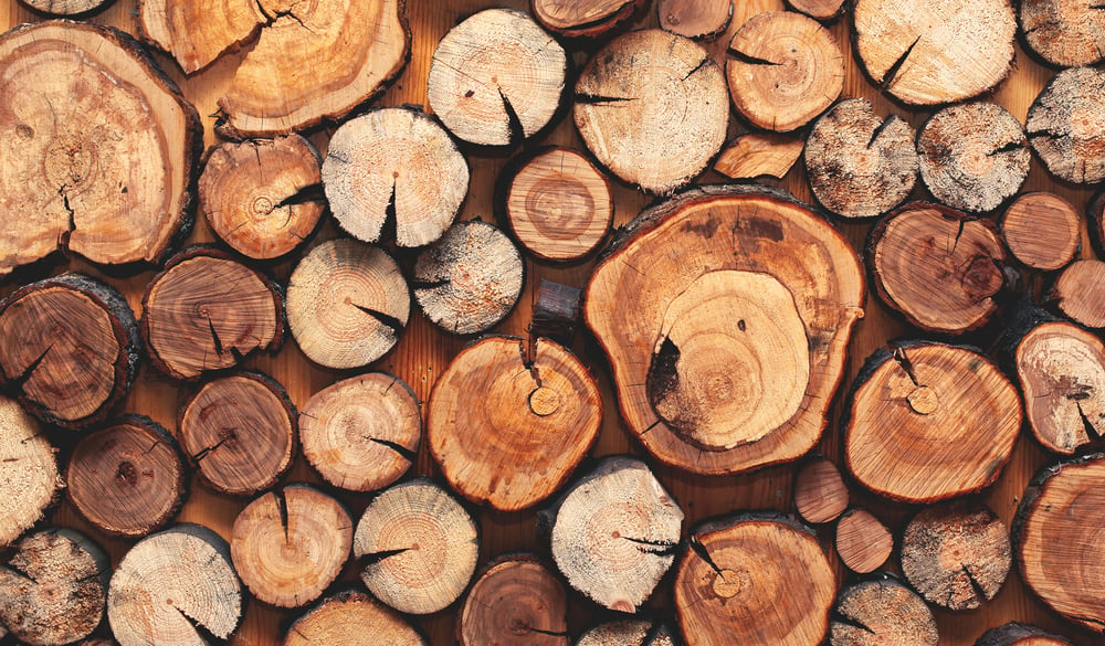 Wooden,Natural,Sawn,Logs,As,Background,,Top,View,,Flat,Lay