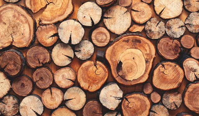 Wooden,Natural,Sawn,Logs,As,Background,,Top,View,,Flat,Lay Wooden,Natural,Sawn,Logs,As,Background,,Top,View,,Flat,Lay