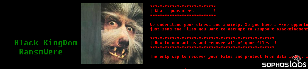 BK header image_new