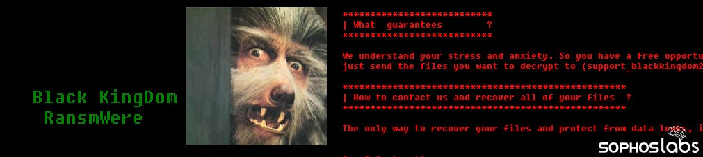 BK header image_new BK header image_new