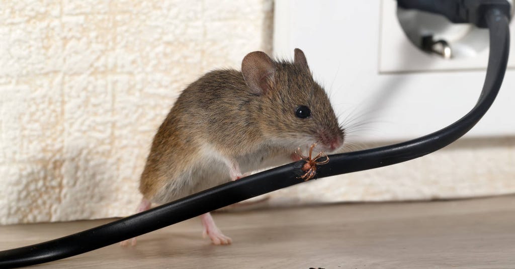 How a gaming mouse can get you Windows superpowers! How a gaming mouse can get you Windows superpowers!