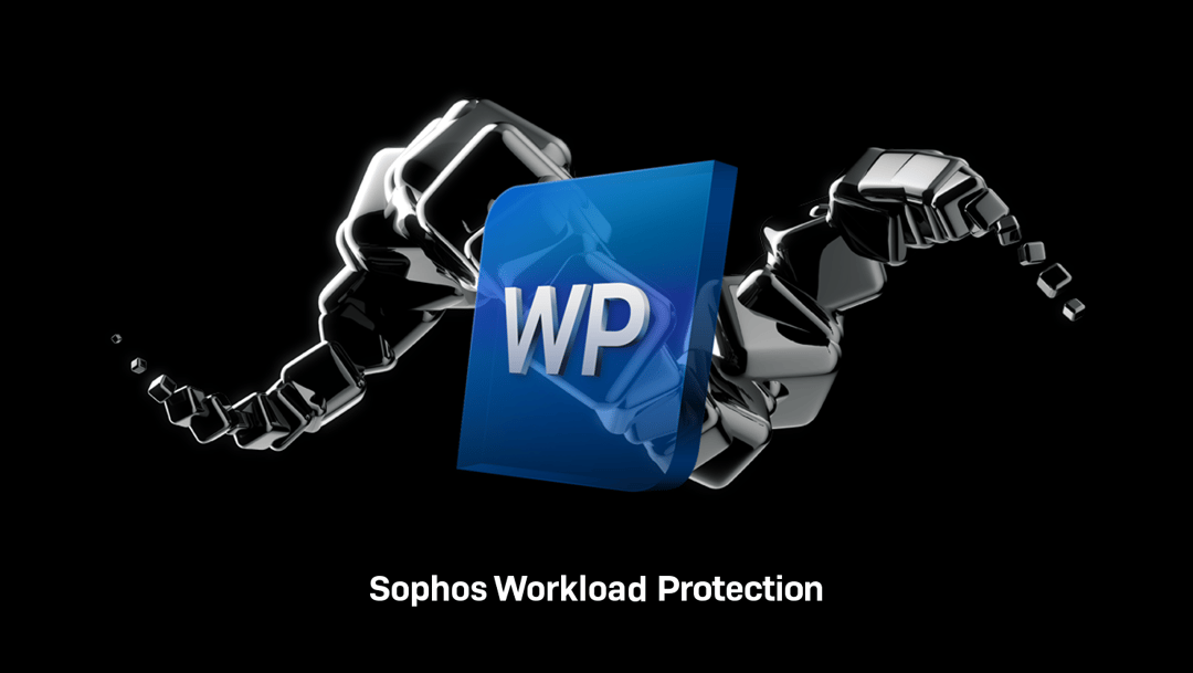 Performance Tuned Linux API Protection