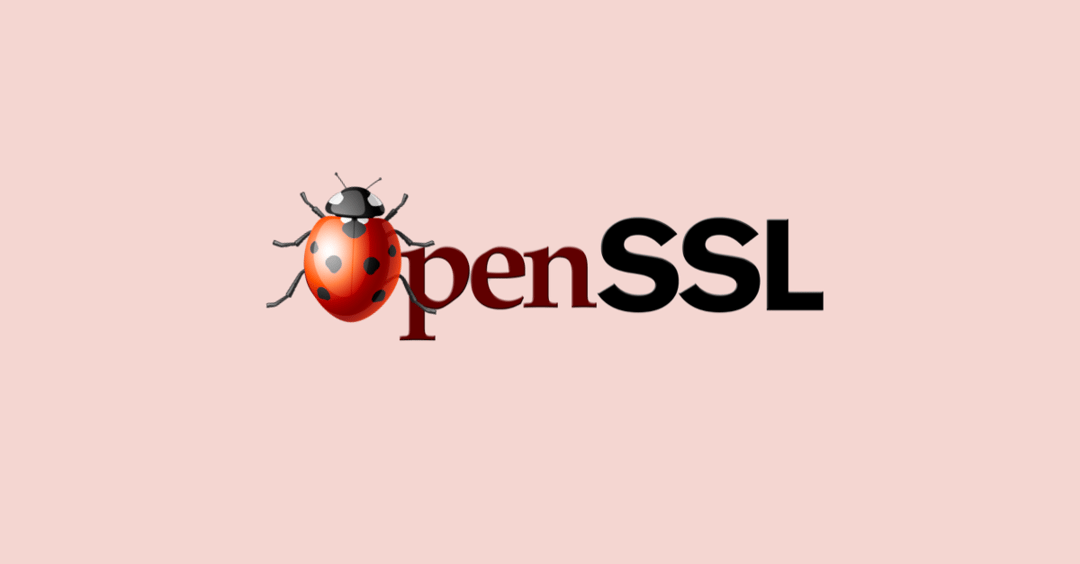 OpenSSL patches infinite-loop DoS bug in certificate verification