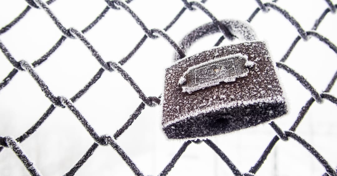 shutterstock_1029394402