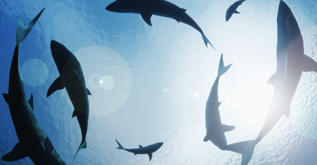 banner-02-1200×628 banner-02-1200×628