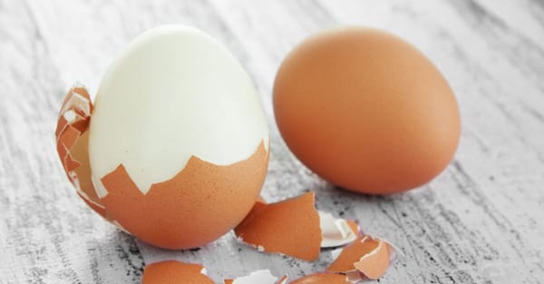 Ransomware Survey 2022 – like the Curate’s Egg, “good in parts” Ransomware Survey 2022 – like the Curate’s Egg, “good in parts”