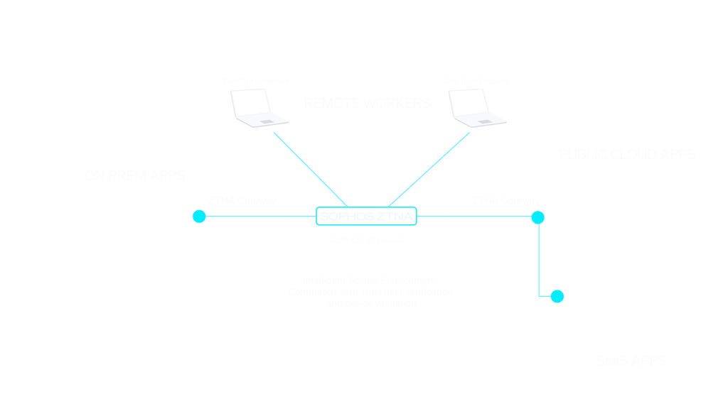 ztnaaas-graphic-white ztnaaas-graphic-white