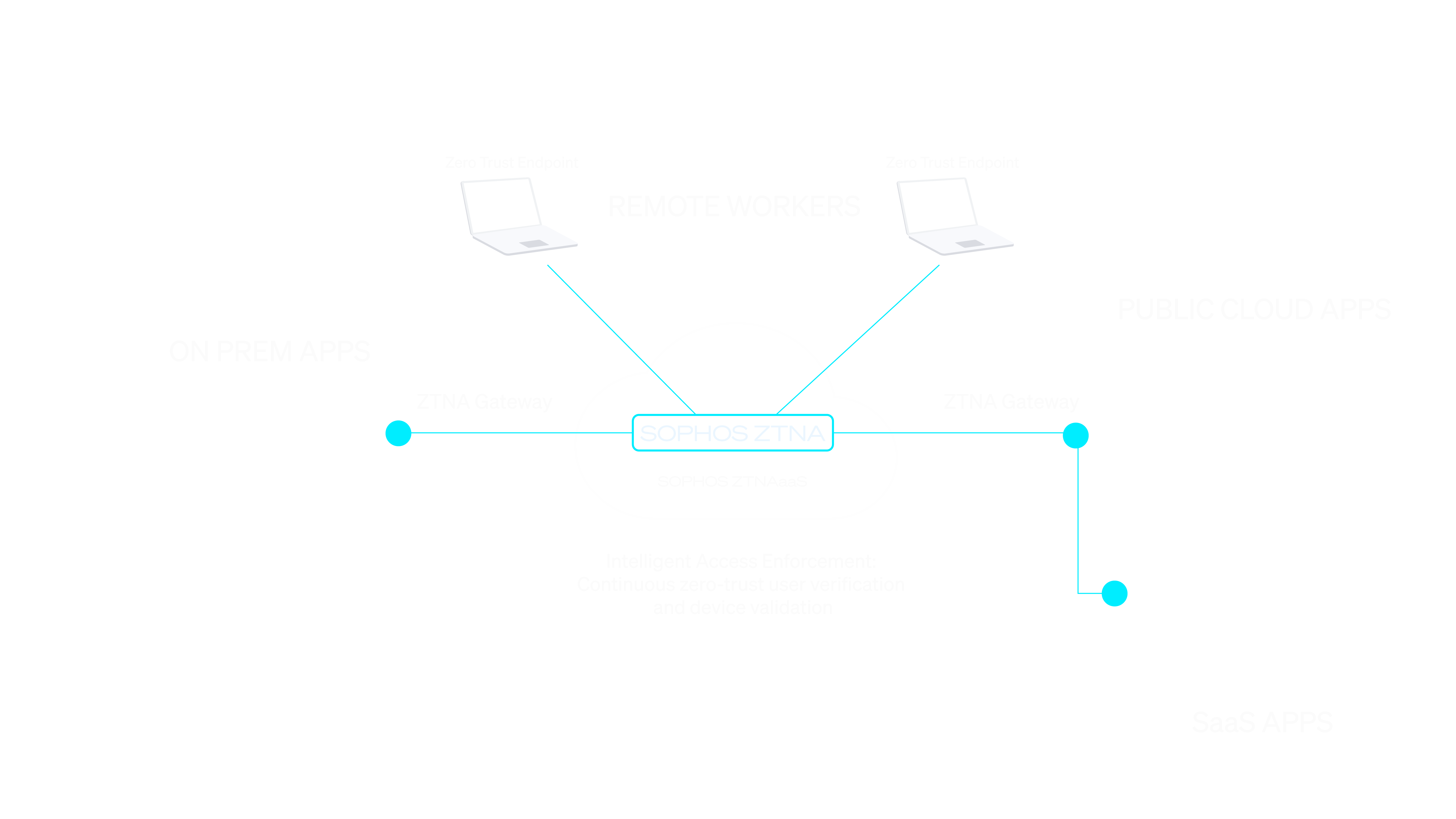ztnaaas-graphic-white