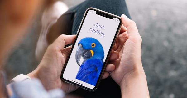 STILL ALIVE! iOS 12 gets 3 zero-day security patches – update now STILL ALIVE! iOS 12 gets 3 zero-day security patches – update now
