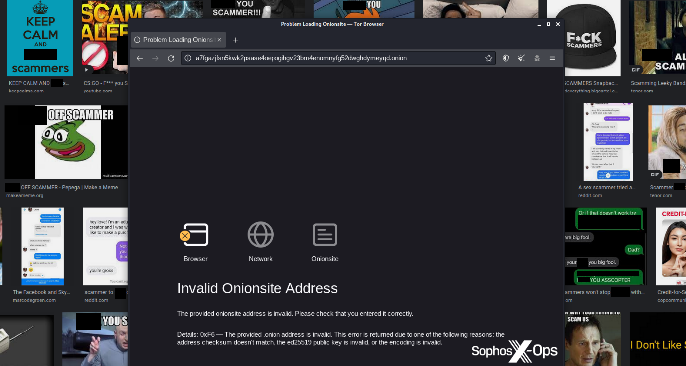 詐欺師を侮辱する Google 画像検索結果を背景にした「invalid onionsite」ブラウザメッセージ
