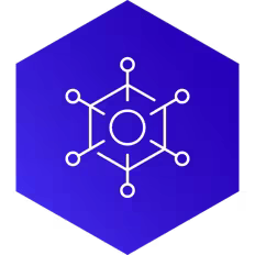 Penetration Testing - Icon 1 Penetration Testing - Icon 1