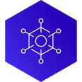 Penetration Testing - Icon 1 Penetration Testing - Icon 1