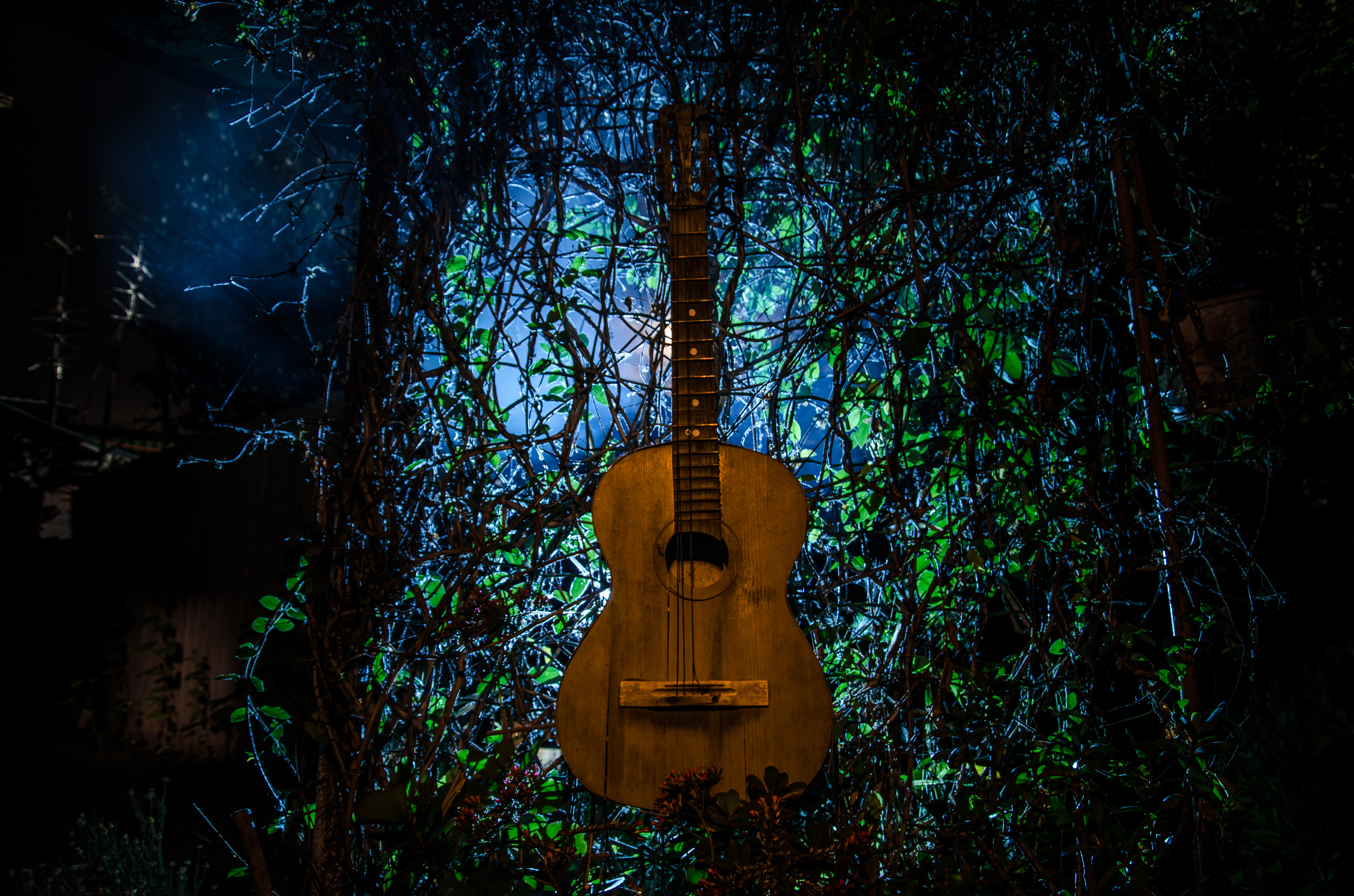 A,Wooden,Acoustic,Guitar,At,Night.,With,Spotlight,For,Your