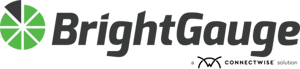 BrightGauge BrightGauge