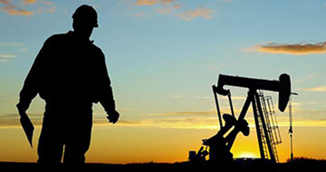 Featured - Living Off The Land - 1764357060292