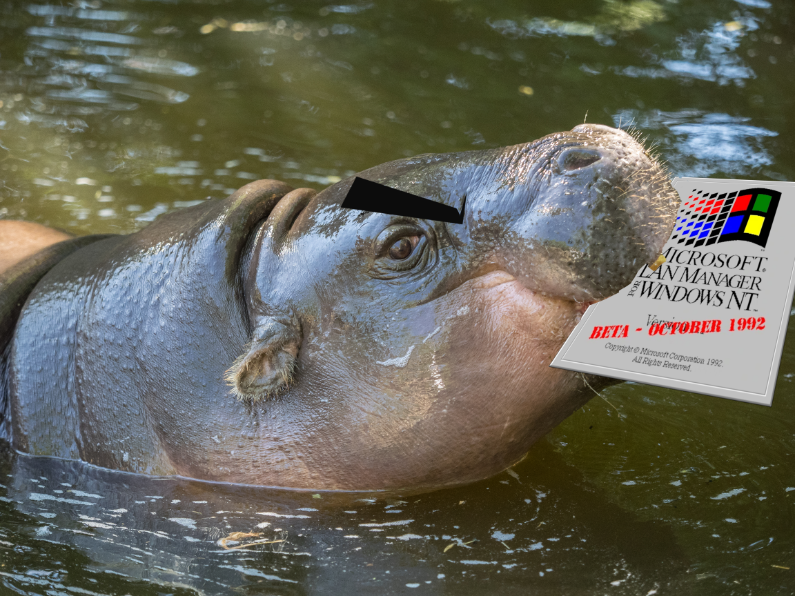 Pygmy Hippopotamus, photo by William Warby (https://www.flickr.com/photos/wwarby/19446821910)