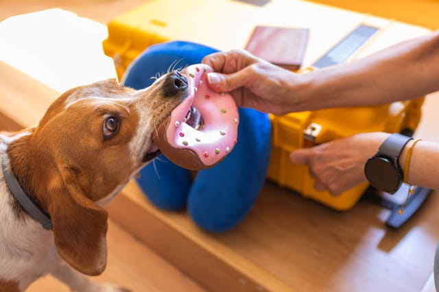 Donuts and Beagles: Fake Claude site spreads backdoor - image Donuts and Beagles: Fake Claude site spreads backdoor - image