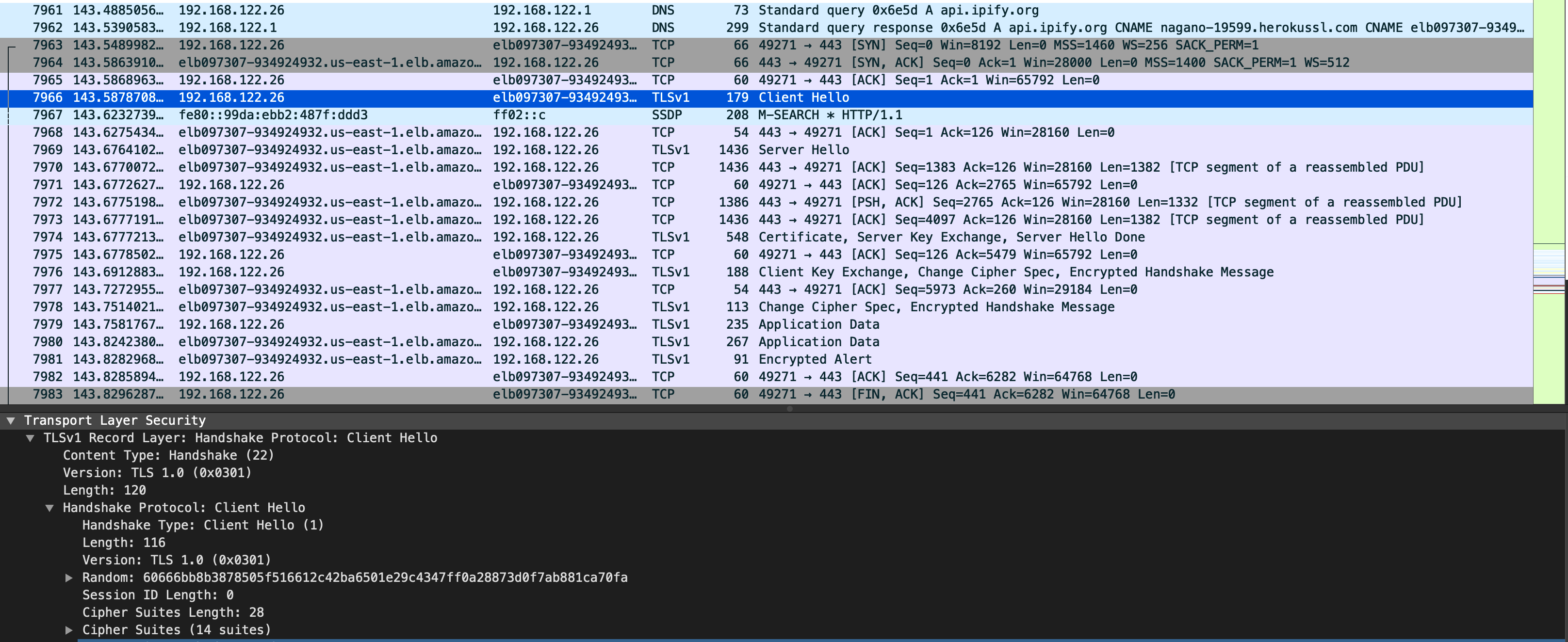 WIRESHARK SCREENSHOT