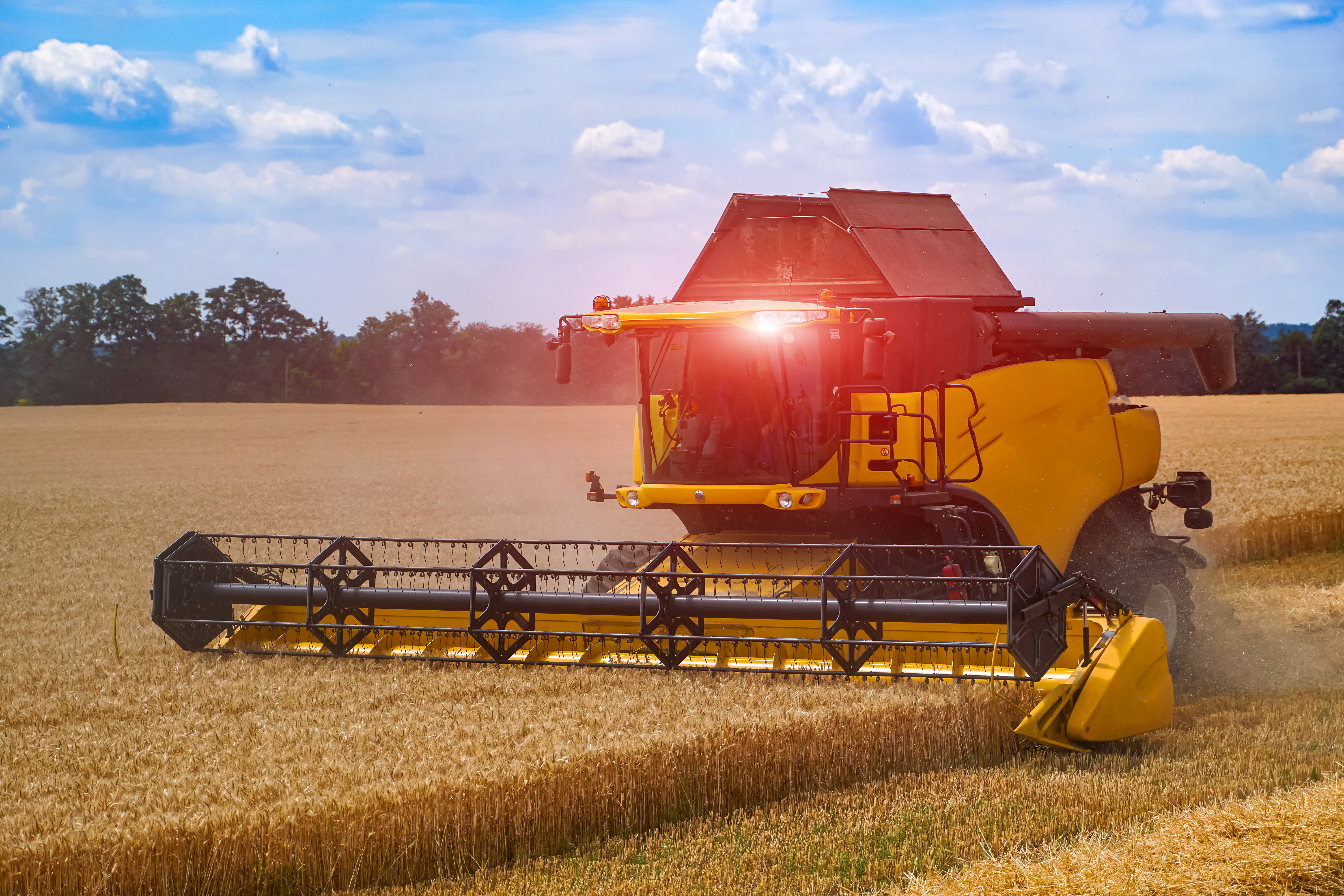 Windows Server Update Services (WSUS) vulnerability abused to harvest sensitive data