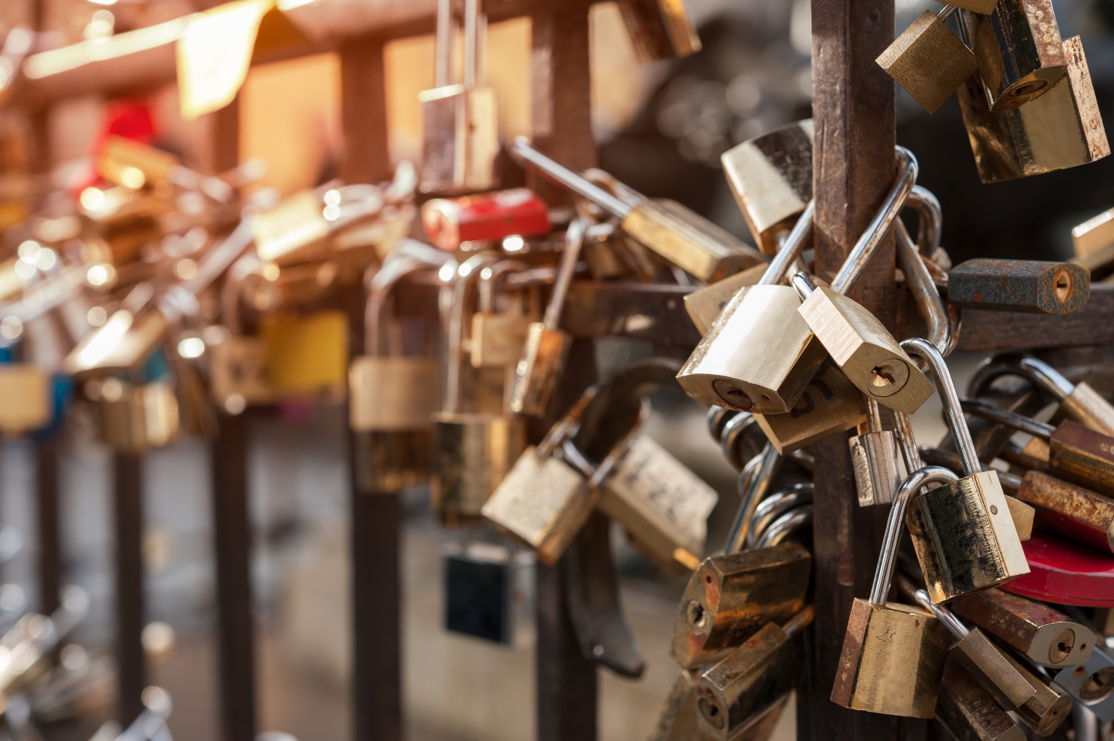 padlocks chained to a fence