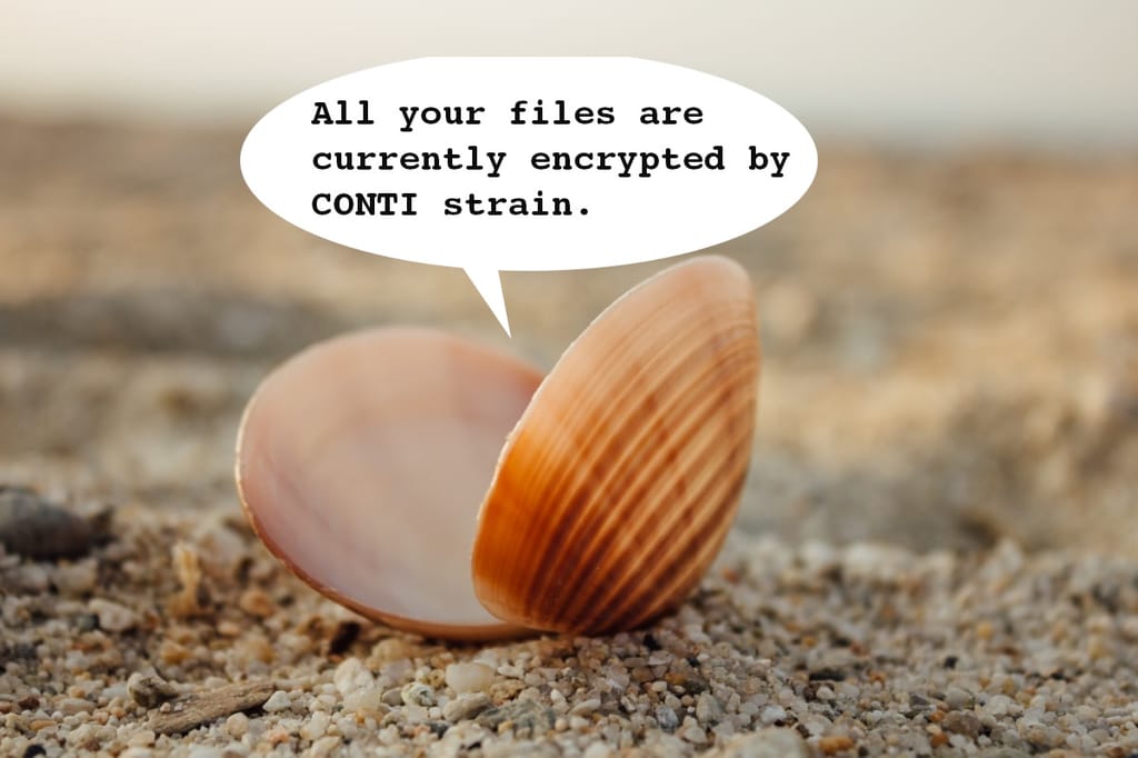 contishell contishell