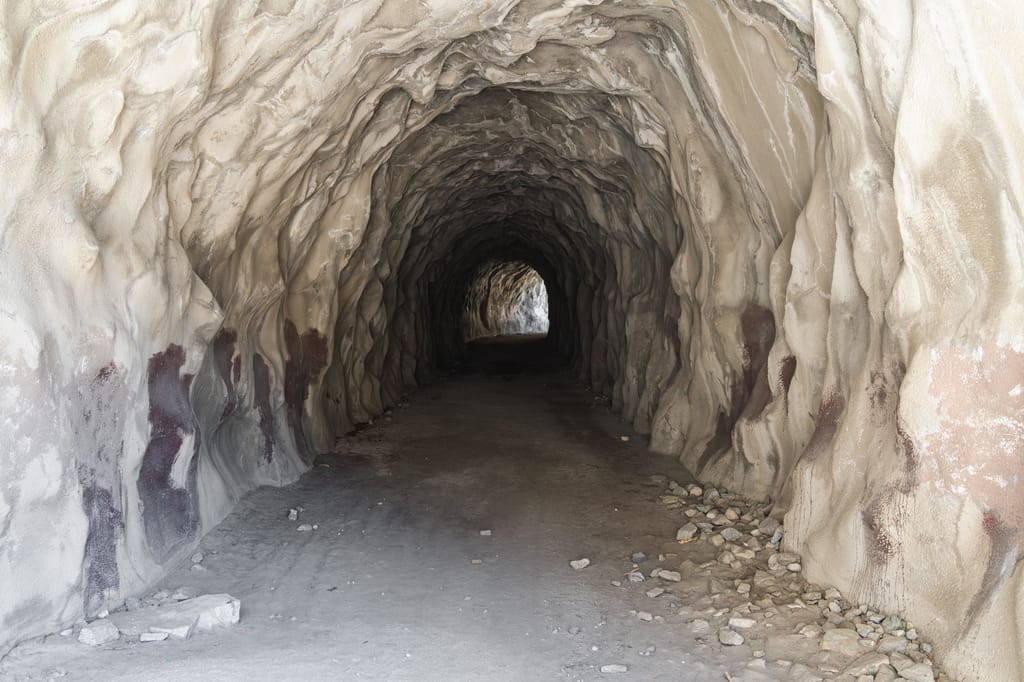 Velociraptor Velociraptor