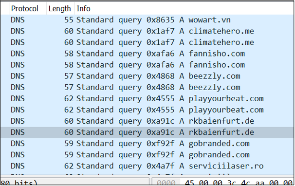 Figure 14: Malicious domain names observed within DNS requests through Wireshark PCAP