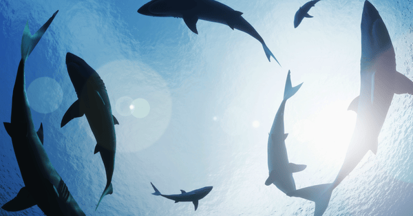 banner-02-1200×628 banner-02-1200×628