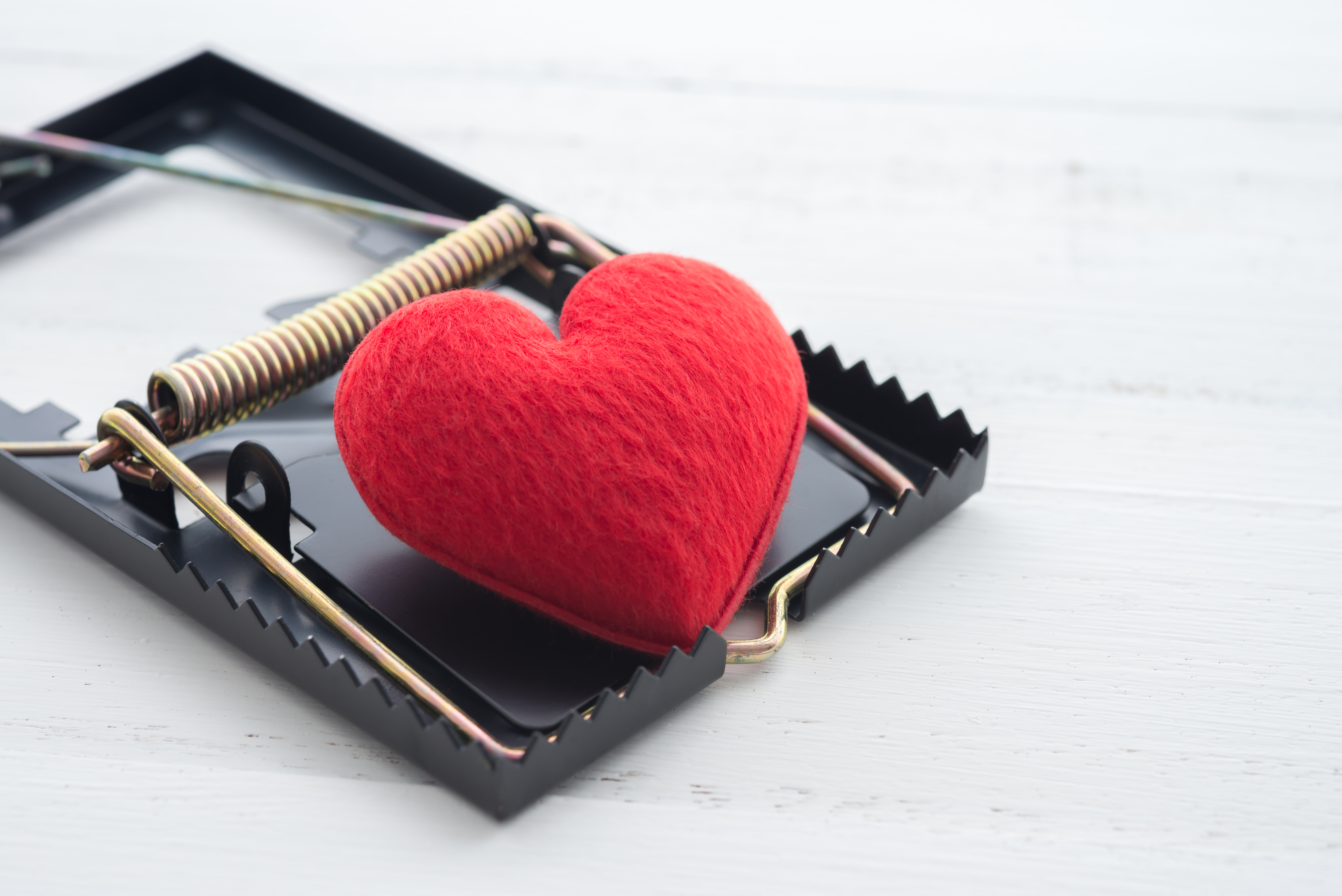 Red,Heart,In,A,Rat,Trap,On,White,Wooden,Background.