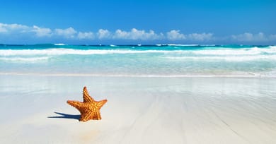 shutterstock_537081946 shutterstock_537081946