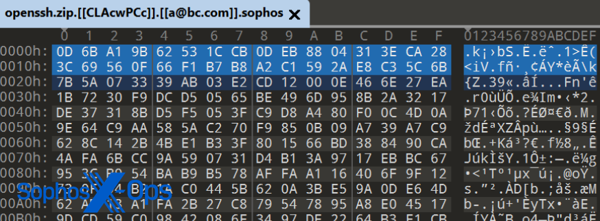 An encrypted file; the highlighted text is the SHA256 hash of the password.