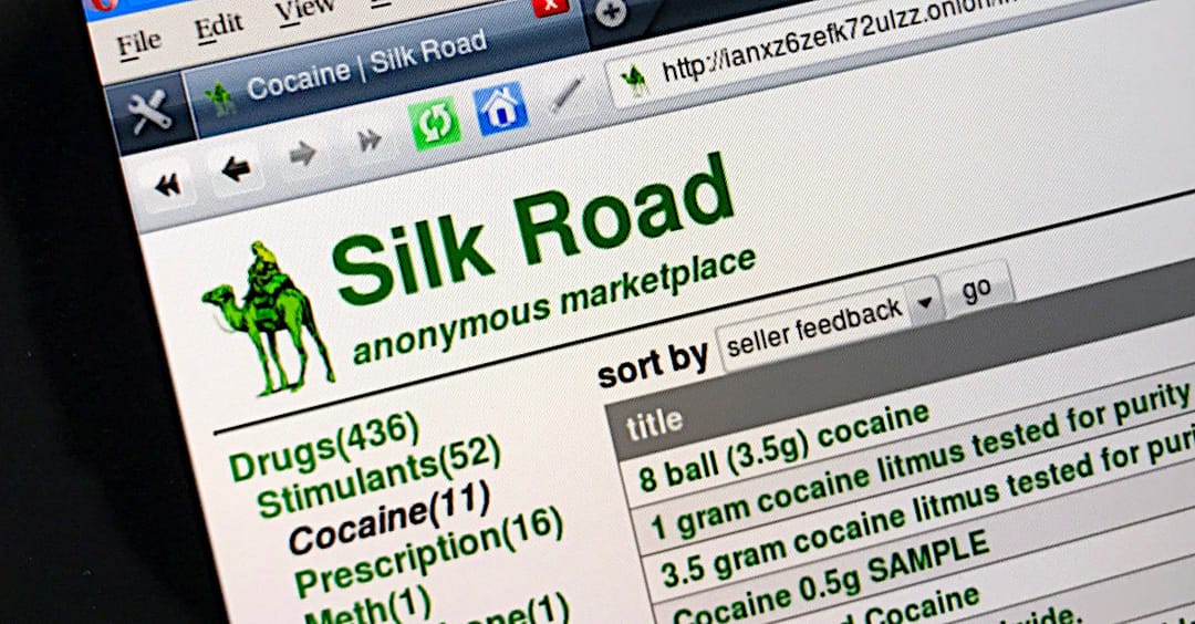 Silk Road drugs market hacker pleads guilty, faces 20 years inside