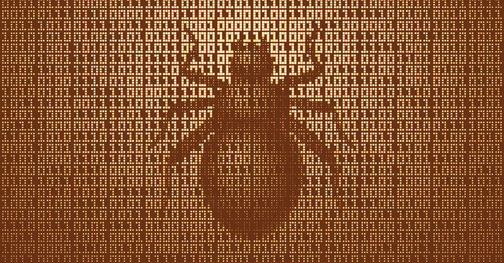 Beware of technical “experts” bombarding you with bug reports