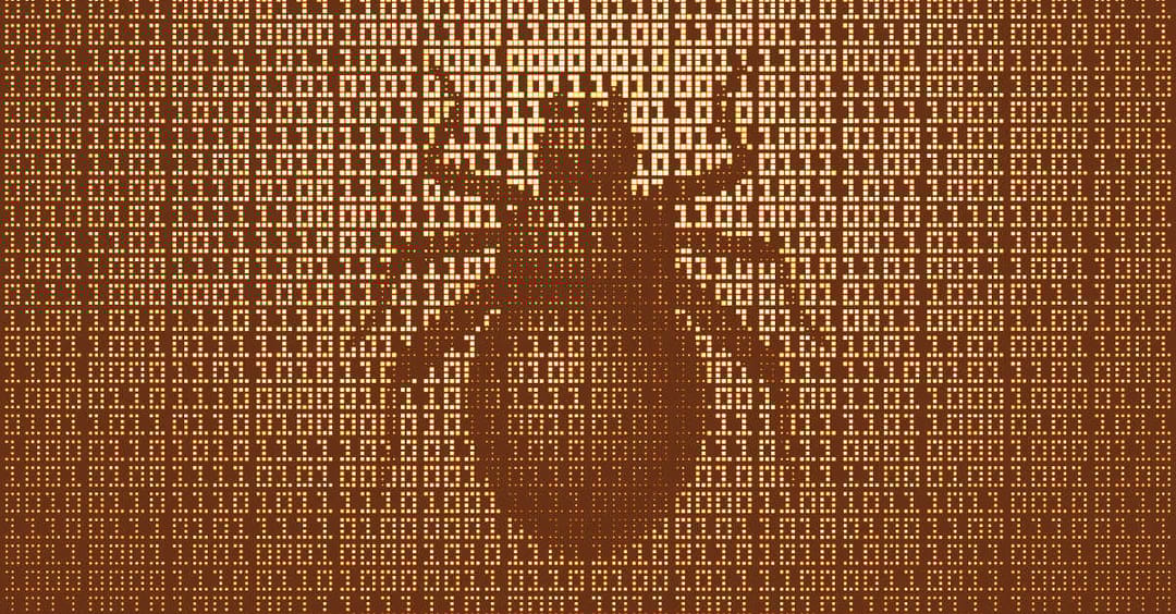 Beware of technical “experts” bombarding you with bug reports