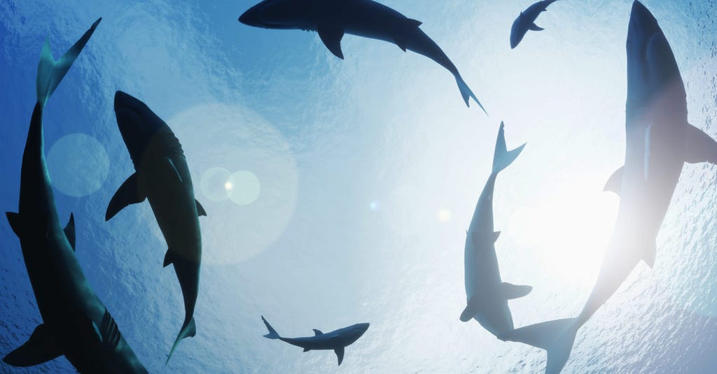 Europol announces “targeting” of 12 suspects in ransomware attacks Europol announces “targeting” of 12 suspects in ransomware attacks