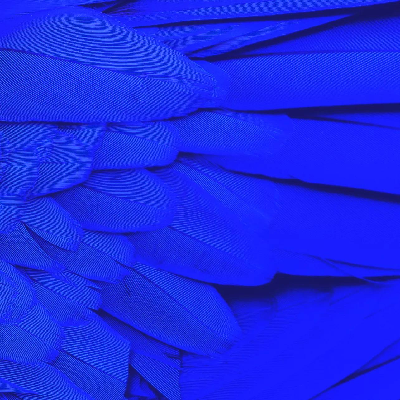 Featured - Qakbot Campaign Delivered Black Basta Ransomware - 1764356912531