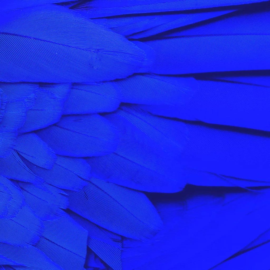 Featured - Qakbot Campaign Delivered Black Basta Ransomware - 1764356912531 Featured - Qakbot Campaign Delivered Black Basta Ransomware - 1764356912531