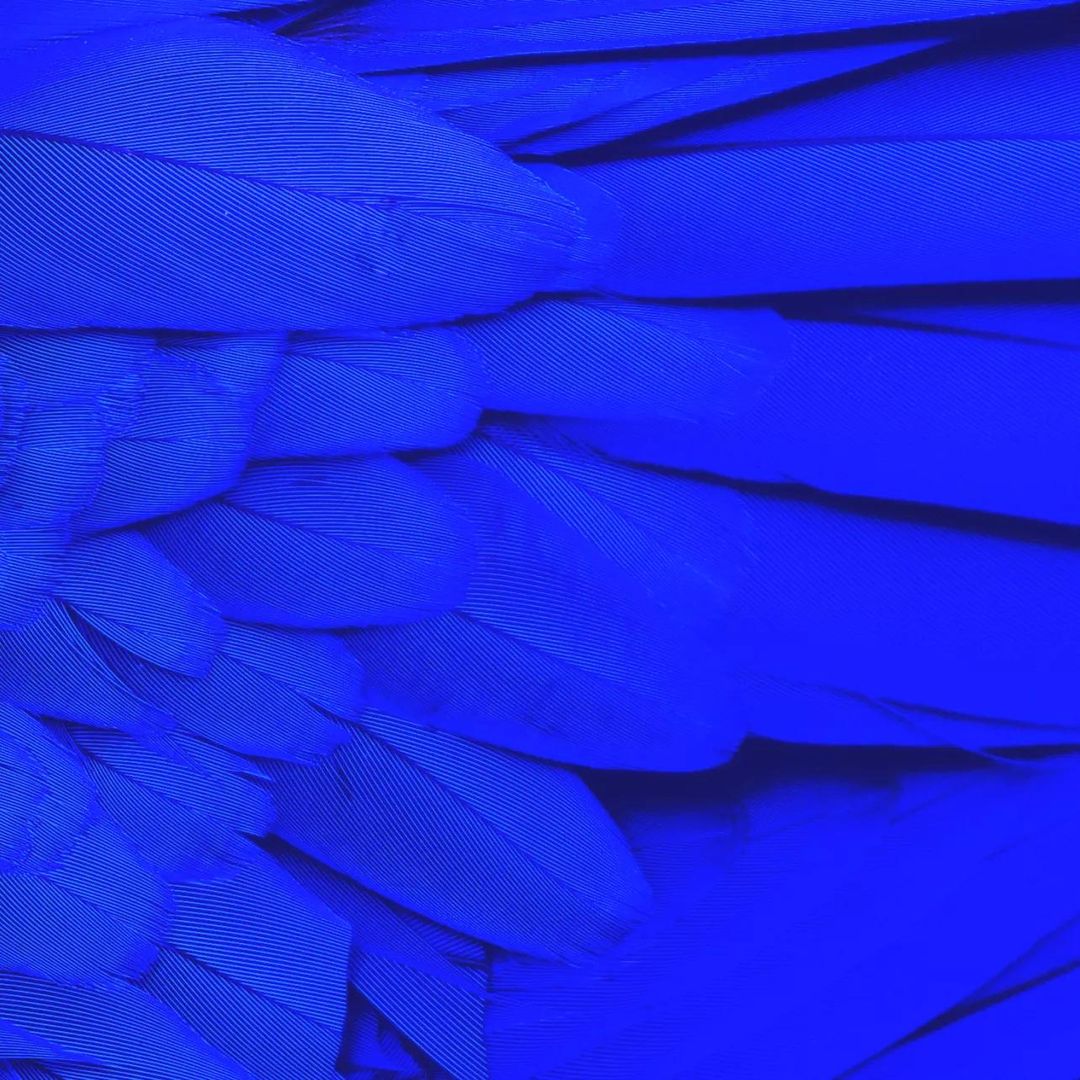 Featured - Qakbot Campaign Delivered Black Basta Ransomware - 1764356912531