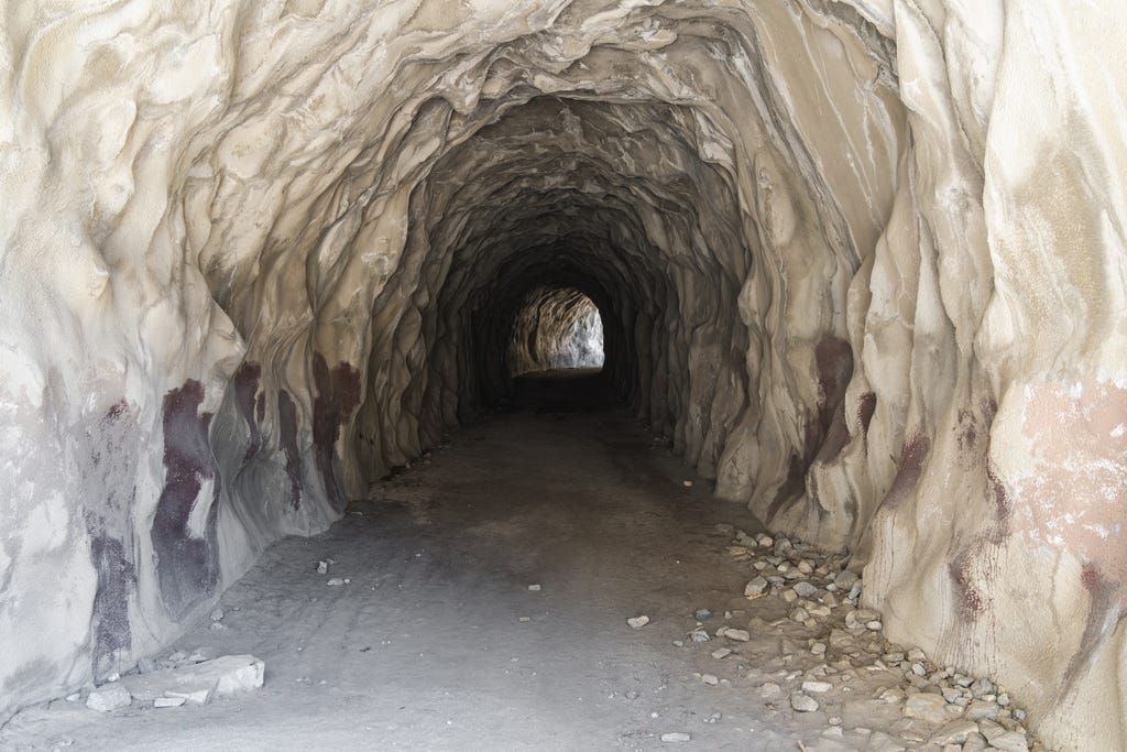 Velociraptor Velociraptor