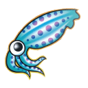 Squid Squid
