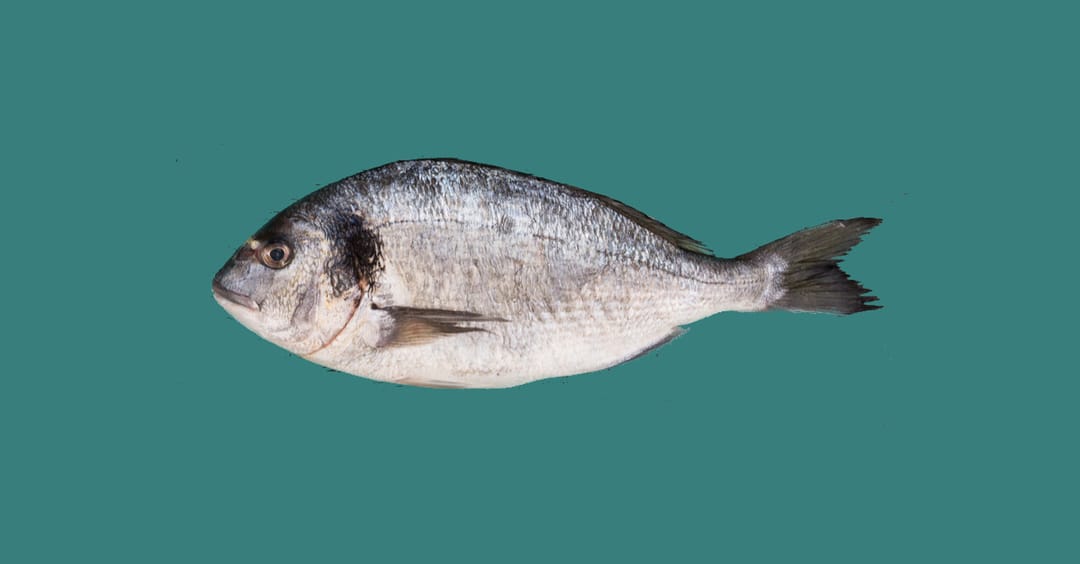 Fresh phish! Stripe scam baked and delivered in under an hour