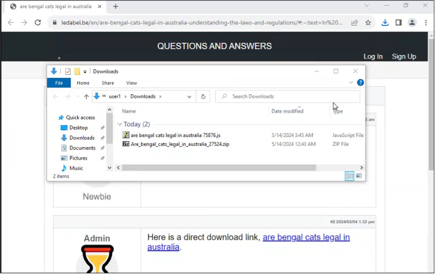 Figure 6: Sandboxed browser (Browserling) results when accessing the website and clicking on the malicious hyperlinked URL