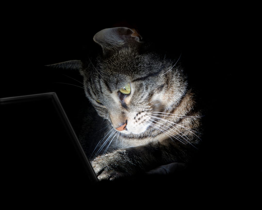 we-let-openclaw-loose-on-an-internal-network-here-s-what-it-found - image